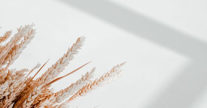 SkinPen Microneedling